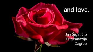 and love.
Jan Šigir, 2.b
IX gimnazija
Zagreb
 