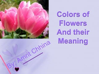 Colors of Flowers And their Meaning By: Amrit Chhina 