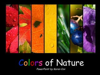 C o l o r s   of Nature PowerPoint by Karen Cox 
