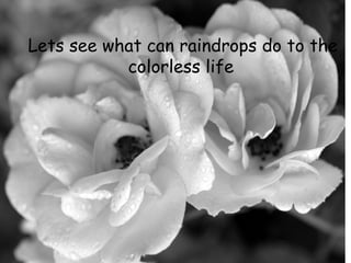 Lets see what can raindrops do to the
           colorless life
 