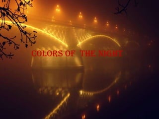 Colors of the night
 