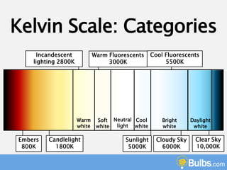 Daylight 2024 white kelvin