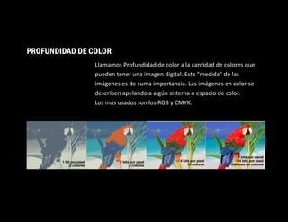 PROFUNDIDAD DE COLOR
Llamamos Profundidad de color a la can dad de colores que
pueden tener una imagen digital. Esta "medida" de las
imágenes es de suma importancia. Las imágenes en color se
describen apelando a algún sistema o espacio de color.
Los más usados son los RGB y CMYK.
 