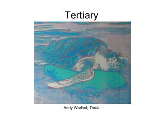 Tertiary Andy Warhol,  Turtle 