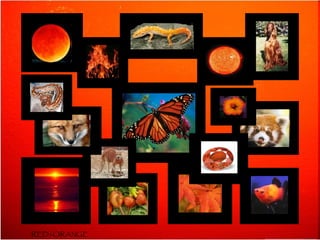 RED-ORANGE 