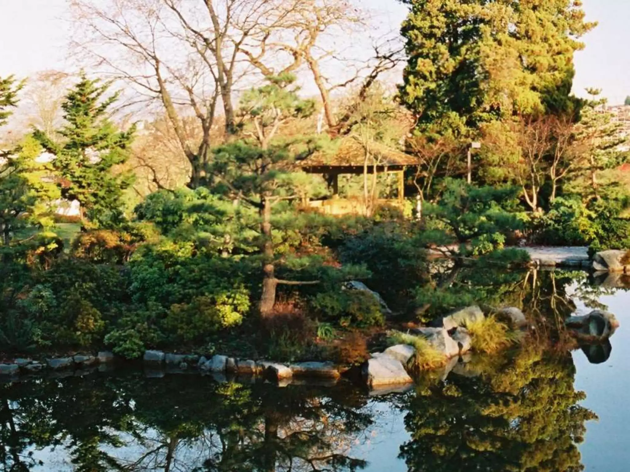 The Colour Wheel: Value
 