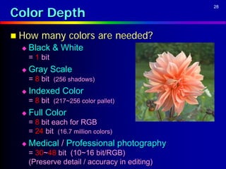 Color Depth
                                               28




 How    many colors are needed?
    Black & White
     = 1 bit
    Gray Scale
     = 8 bit (256 shadows)
    Indexed Color
     = 8 bit (217~256 color pallet)
    Full Color
     = 8 bit each for RGB
     = 24 bit (16.7 million colors)
    Medical / Professional photography
     = 30~48 bit (10~16 bit/RGB)
     (Preserve detail / accuracy in editing)
 