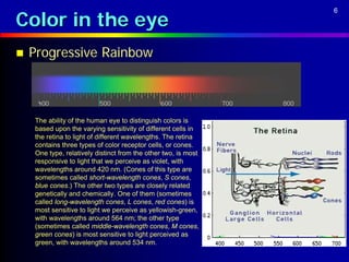 Color in the eye
                                                                6




   Progressive Rainbow



    The ability of the human eye to distinguish colors is
    based upon the varying sensitivity of different cells in
    the retina to light of different wavelengths. The retina
    contains three types of color receptor cells, or cones.
    One type, relatively distinct from the other two, is most
    responsive to light that we perceive as violet, with
    wavelengths around 420 nm. (Cones of this type are
    sometimes called short-wavelength cones, S cones,
    blue cones.) The other two types are closely related
    genetically and chemically. One of them (sometimes
    called long-wavelength cones, L cones, red cones) is
    most sensitive to light we perceive as yellowish-green,
    with wavelengths around 564 nm; the other type
    (sometimes called middle-wavelength cones, M cones,
    green cones) is most sensitive to light perceived as
    green, with wavelengths around 534 nm.
 