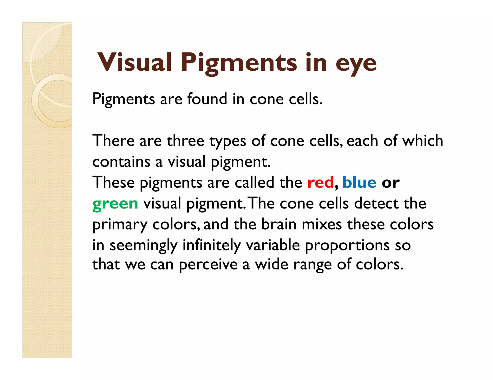 Visual Pigments in eye
Pigments are found in cone cells.
There are three types of cone cells, each of which
contains a visual pigment.
These pigments are called the red, blue or
green visual pigment. The cone cells detect the
primary colors, and the brain mixes these colors
in seemingly infinitely variable proportions so
that we can perceive a wide range of colors
colors.

 