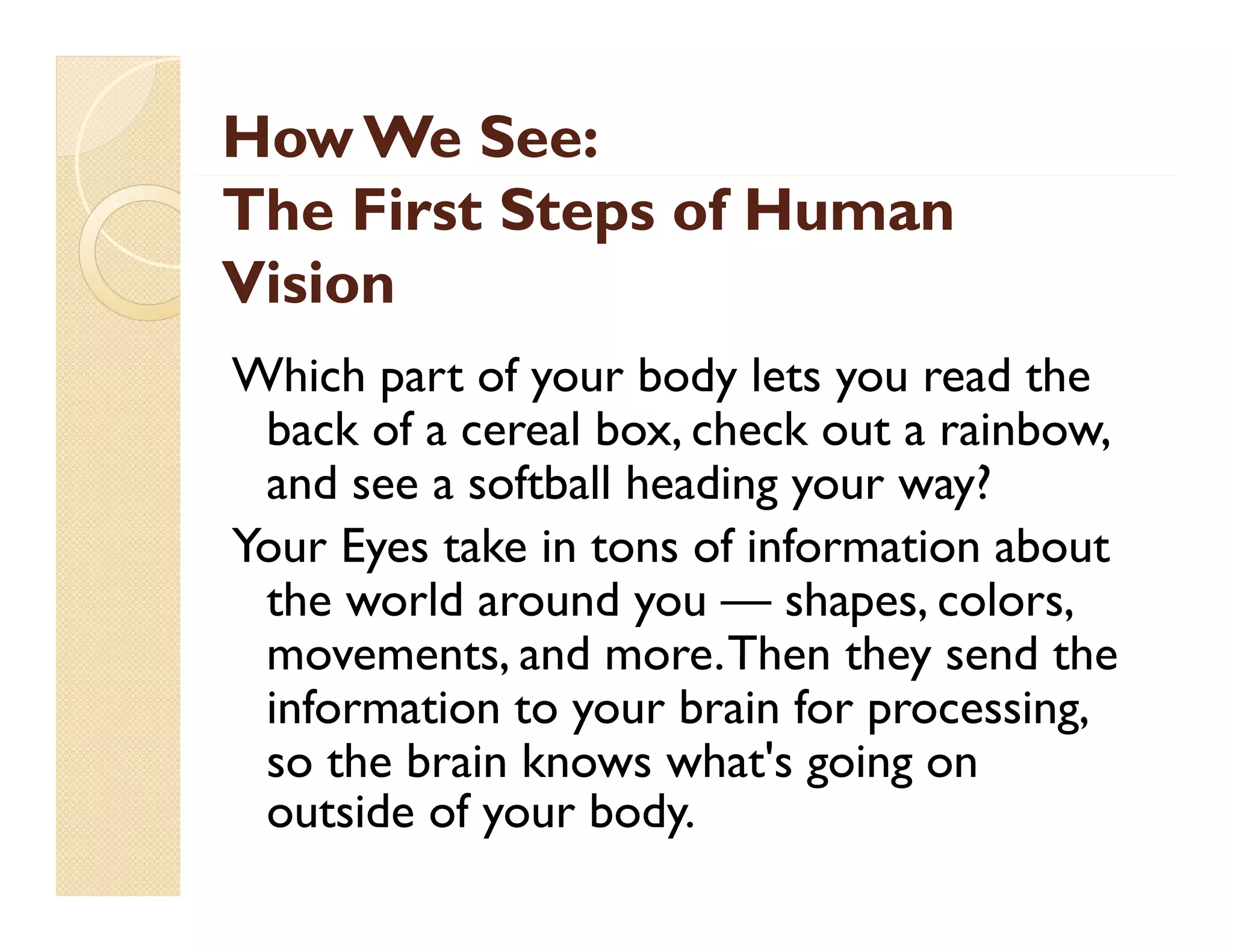 How We See:
The First Steps of Human
Vision
Which part of your body lets you read the
back f
b k of a cereal b check out a rainbow,
l box, h k
i b
and see a softball heading your way?
Your E
Y
Eyes t k i t
take in tons of i f
f information about
ti
b t
the world around you — shapes, colors,
movements,
movements and more. Then they send the
more
information to your brain for processing,
so the brain knows what s going on
what's
outside of your body.

 