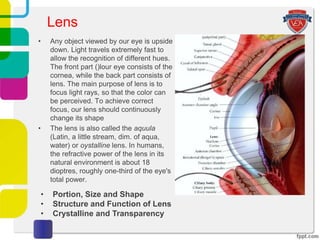 • Any object viewed by our eye is upside
down. Light travels extremely fast to
allow the recognition of different hues.
The front part ()lour eye consists of the
cornea, while the back part consists of
lens. The main purpose of lens is to
focus light rays, so that the color can
be perceived. To achieve correct
focus, our lens should continuously
change its shape
• The lens is also called the aquula
(Latin, a little stream, dim. of aqua,
water) or oystalline lens. In humans,
the refractive power of the lens in its
natural environment is about 18
dioptres, roughly one-third of the eye's
total power.
Lens
• Portion, Size and Shape
• Structure and Function of Lens
• Crystalline and Transparency
 