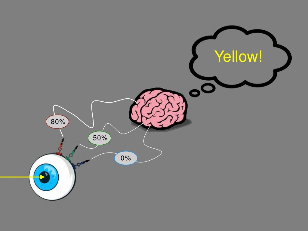 The Science of Color