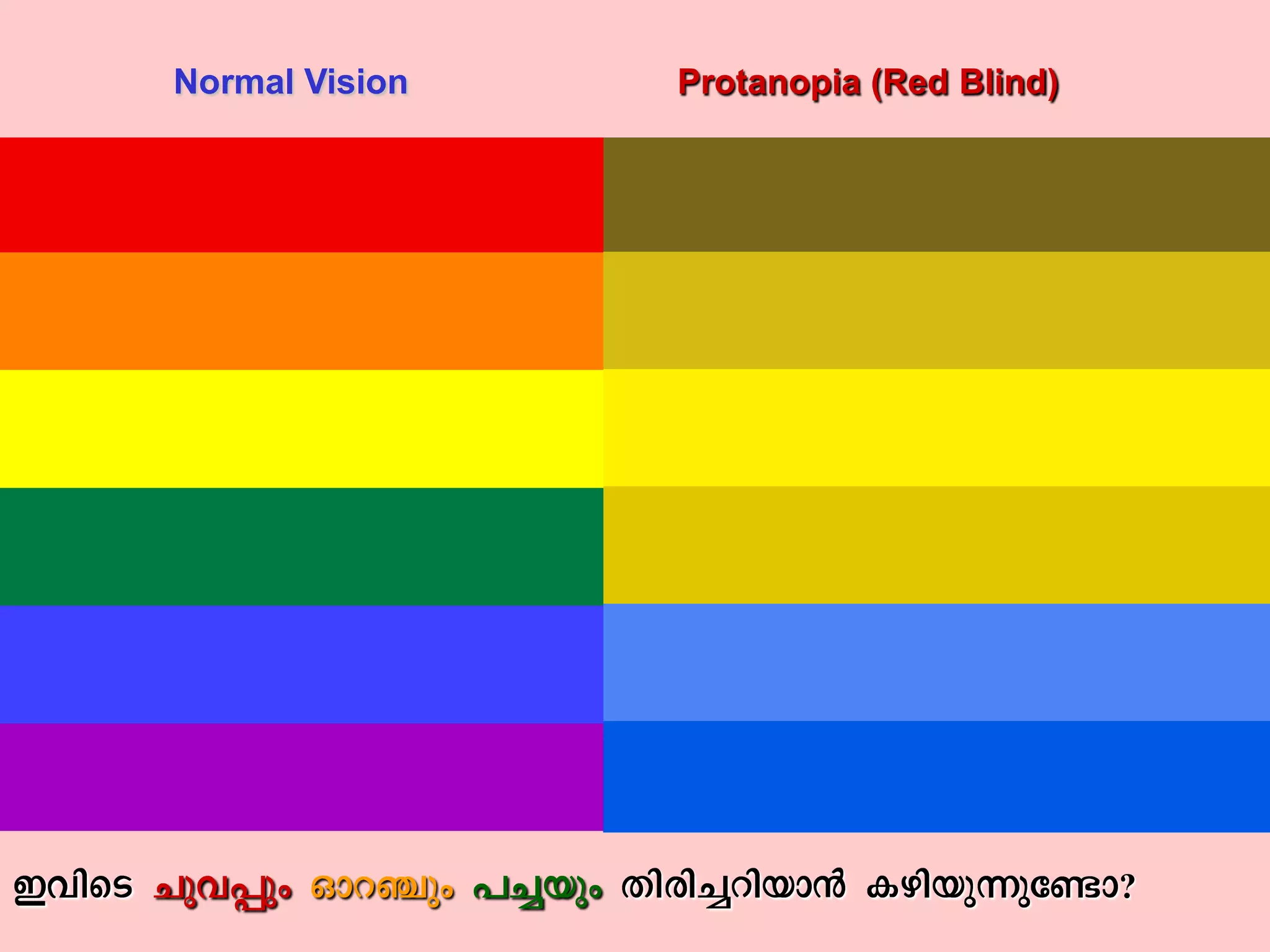 Normal Vision Protanopia (Red Blind)
?
