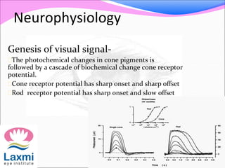 Neurophysiology
Genesis of visual signal-
The photochemical changes in cone pigments is
followed by a cascade of biochemical change cone receptor
potential.
Cone receptor potential has sharp onset and sharp offset
Rod receptor potential has sharp onset and slow offset
 