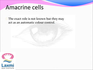 Amacrine cells
 The exact role is not known but they may
act as an automatic colour control.
 