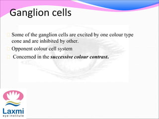 Ganglion cells
 Some of the ganglion cells are excited by one colour type
cone and are inhibited by other.
 Opponent colour cell system
 Concerned in the successive colour contrast.
 