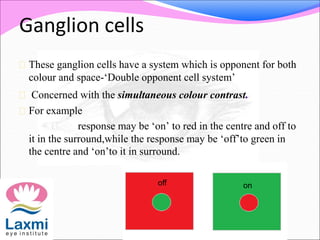 Ganglion cells
 These ganglion cells have a system which is opponent for both
colour and space-‘Double opponent cell system’
 Concerned with the simultaneous colour contrast.
 For example
response may be ‘on’ to red in the centre and off to
it in the surround,while the response may be ‘off’to green in
the centre and ‘on’to it in surround.
off on
 