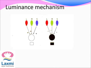 Luminance mechanism
+
-
 