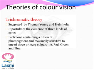Theories of colour vision
Trichromatic theory
 Suggested by Thomas Young and Helmholtz
 It postulates the existence of three kinds of
cones
 Each cone containing a different
photopigment and maximally sensitive to
one of three primary colours i.e. Red, Green
and Blue.
 