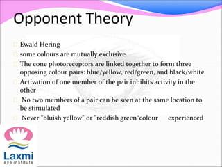 Opponent Theory
 Ewald Hering
 some colours are mutually exclusive
 The cone photoreceptors are linked together to form three
opposing colour pairs: blue/yellow, red/green, and black/white
 Activation of one member of the pair inhibits activity in the
other
 No two members of a pair can be seen at the same location to
be stimulated
 Never "bluish yellow" or "reddish green“colour experienced
 