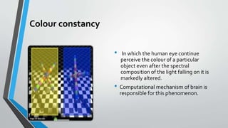Color vision - concepts | PPTX