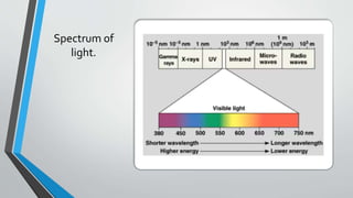 Color vision - concepts | PPTX