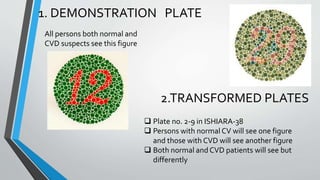 Color vision - concepts | PPTX