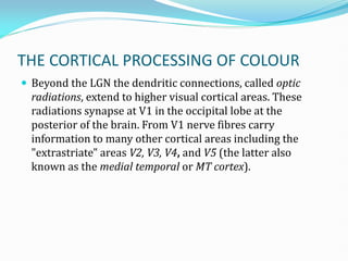Color Vision, its assesment and management | PDF