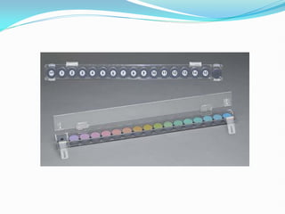 Color Vision, its assesment and management | PDF