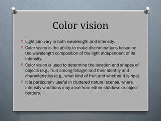Introduction To Color Vision Comprehensive Guide to Color Vision Assessment and Management | PPTX