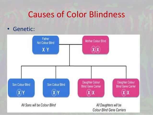 Colorblind Genetics Chart