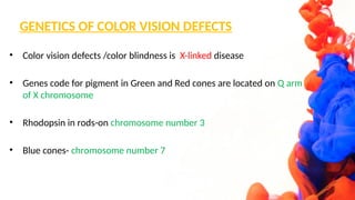 COLOR VISION AND IT'S ABNORMALITIES OPHTHALMOLOGY | PPTX