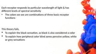 COLOR VISION AND IT'S ABNORMALITIES OPHTHALMOLOGY | PPTX