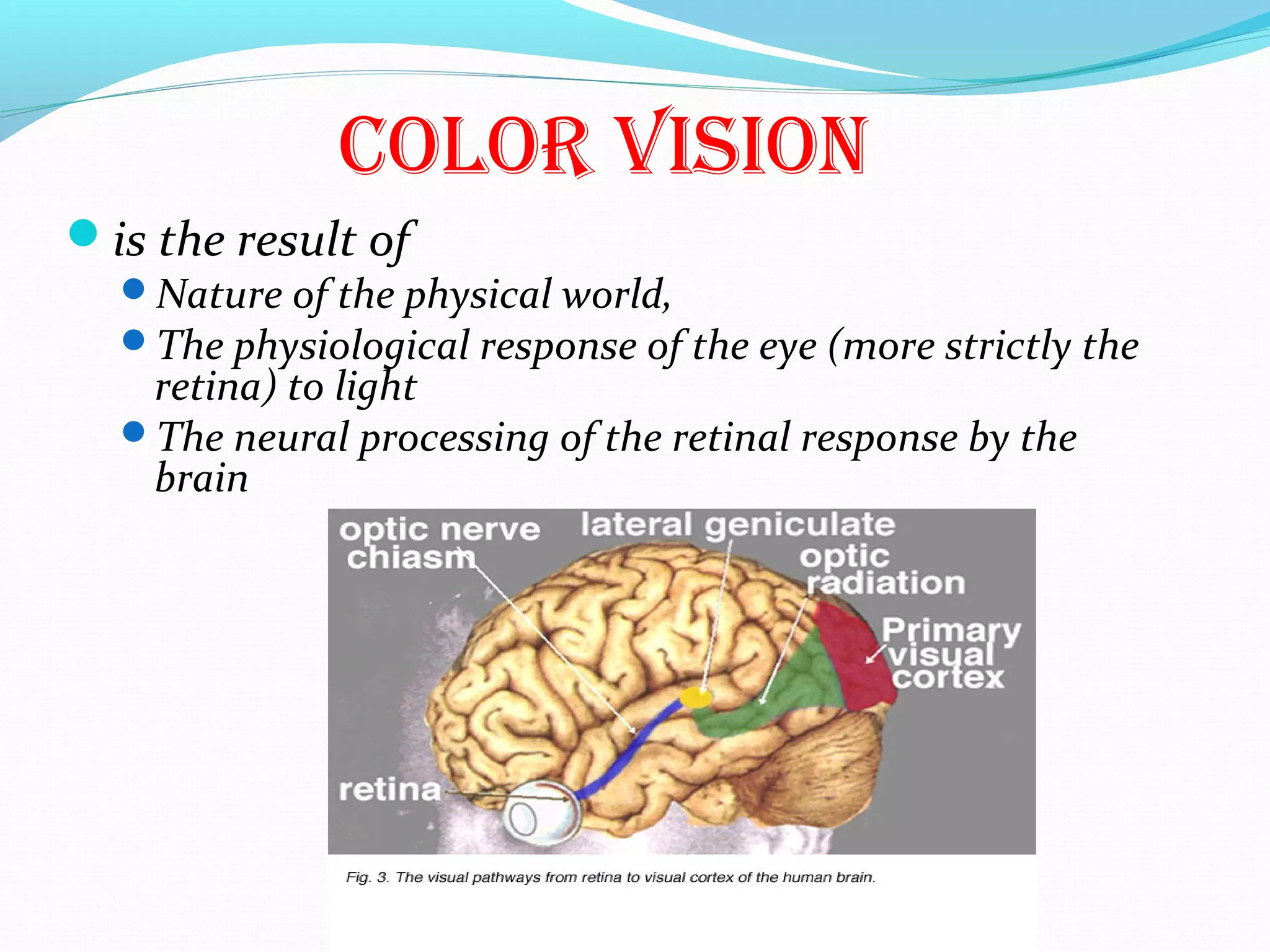 cOlOr visiOn
is the result of
Nature of the physical world,
The physiological response of the eye (more strictly the
retina) to light
The neural processing of the retinal response by the
brain
 