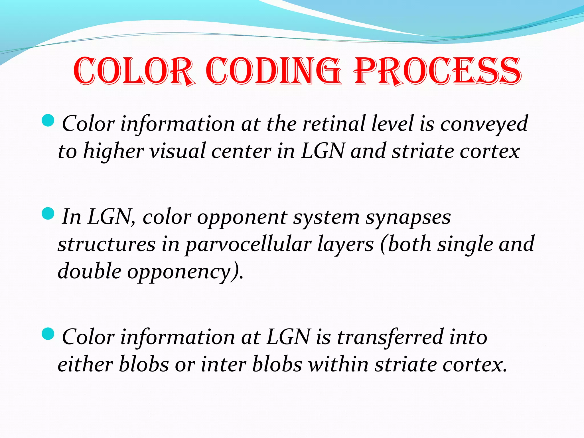 COLOR CODiNg PROCESS
Color information at the retinal level is conveyed
to higher visual center in LGN and striate cortex
In LGN, color opponent system synapses
structures in parvocellular layers (both single and
double opponency).
Color information at LGN is transferred into
either blobs or inter blobs within striate cortex.
 