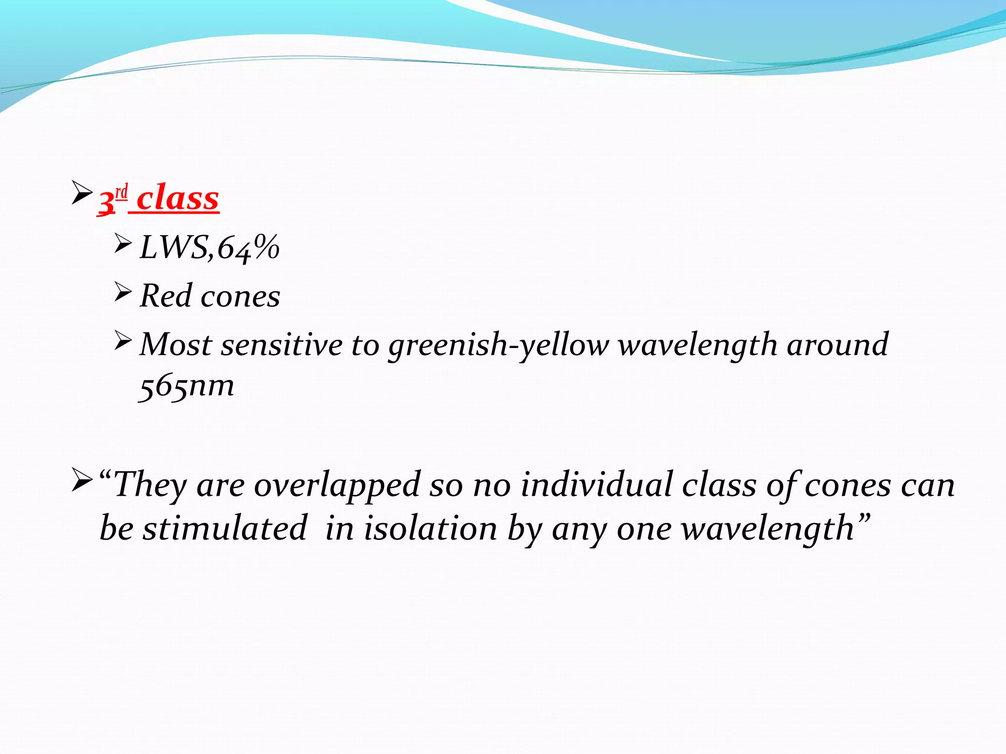 3rd
class
 LWS,64%
 Red cones
 Most sensitive to greenish-yellow wavelength around
565nm
“They are overlapped so no individual class of cones can
be stimulated in isolation by any one wavelength”
 