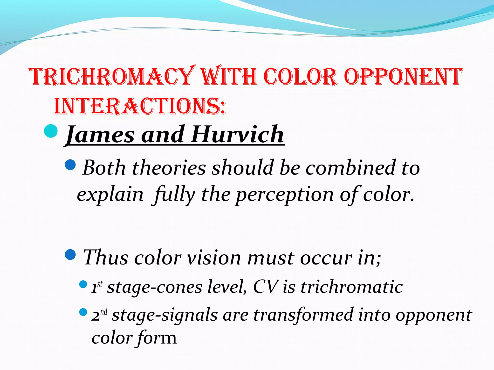 trichromacy with color opponEnt
intEractions:
James and Hurvich
Both theories should be combined to
explain fully the perception of color.
Thus color vision must occur in;
1st
stage-cones level, CV is trichromatic
2nd
stage-signals are transformed into opponent
color form
 