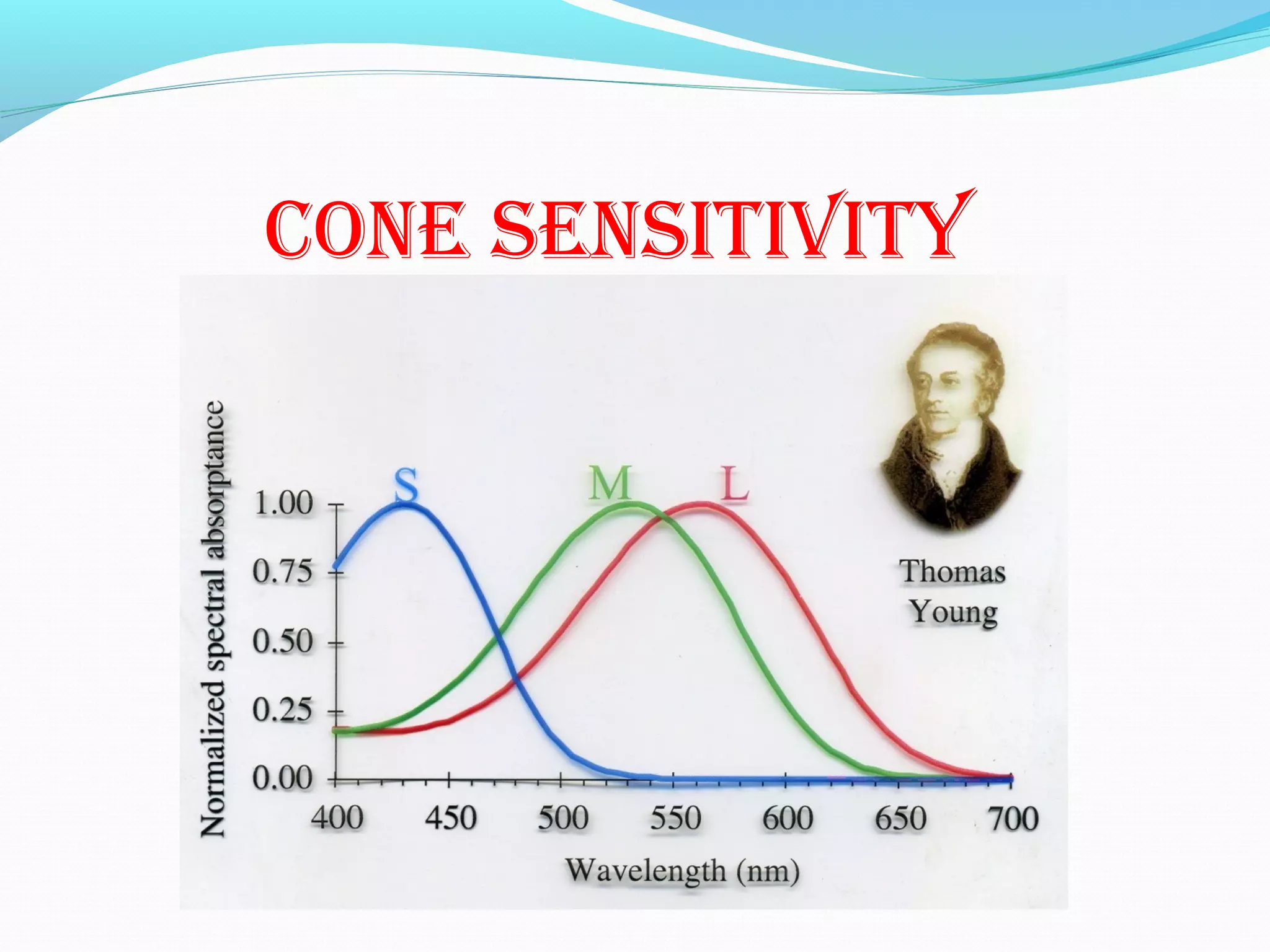cOne sensitivity
 