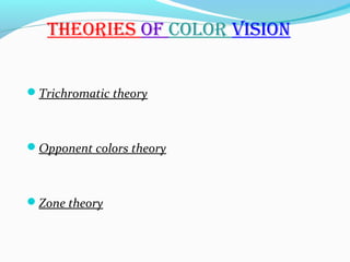tHEORiES Of COLOR ViSiON
Trichromatic theory
Opponent colors theory
Zone theory
 