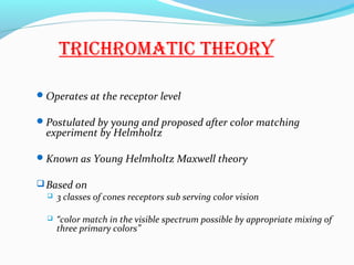 tRiCHROMatiC tHEORy
Operates at the receptor level
Postulated by young and proposed after color matching
experiment by Helmholtz
Known as Young Helmholtz Maxwell theory
Based on
 3 classes of cones receptors sub serving color vision
 “color match in the visible spectrum possible by appropriate mixing of
three primary colors”
 
