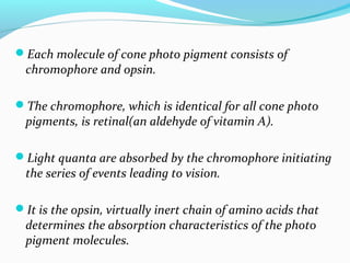 Each molecule of cone photo pigment consists of
chromophore and opsin.
The chromophore, which is identical for all cone photo
pigments, is retinal(an aldehyde of vitamin A).
Light quanta are absorbed by the chromophore initiating
the series of events leading to vision.
It is the opsin, virtually inert chain of amino acids that
determines the absorption characteristics of the photo
pigment molecules.
 