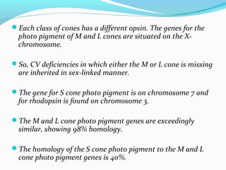Each class of cones has a different opsin. The genes for the
photo pigment of M and L cones are situated on the X-
chromosome.
So, CV deficiencies in which either the M or L cone is missing
are inherited in sex-linked manner.
The gene for S cone photo pigment is on chromosome 7 and
for rhodopsin is found on chromosome 3.
The M and L cone photo pigment genes are exceedingly
similar, showing 98% homology.
The homology of the S cone photo pigment to the M and L
cone photo pigment genes is 40%.
 