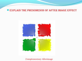 Explain thE phEnomEnon of aftEr imagE EffEct
   Complementary Afterimage
 