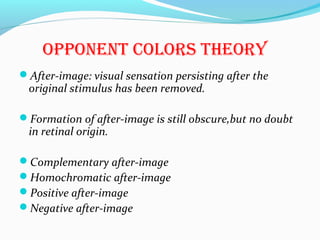 opponEnt colors thEory
After-image: visual sensation persisting after the
original stimulus has been removed.
Formation of after-image is still obscure,but no doubt
in retinal origin.
Complementary after-image
Homochromatic after-image
Positive after-image
Negative after-image
 