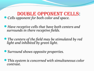 DoUblE opponEnt cElls:
Cells opponent for both color and space.
Have receptive cells that have both centers and
surrounds in there receptive fields.
The centers of the field may be stimulated by red
light and inhibited by green light.
Surround shows opposite properties.
This system is concerned with simultaneous color
contrast.
 