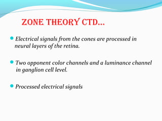 ZonE thEory ctD…
Electrical signals from the cones are processed in
neural layers of the retina.
Two opponent color channels and a luminance channel
in ganglion cell level.
Processed electrical signals
 