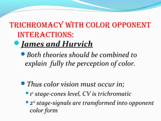 trichromacy with color opponEnt
intEractions:
James and Hurvich
Both theories should be combined to
explain fully the perception of color.
Thus color vision must occur in;
1st
stage-cones level, CV is trichromatic
2nd
stage-signals are transformed into opponent
color form
 