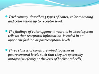 Trichromacy describes 3 types of cones, color matching
and color vision up to receptor level.
The findings of color opponent neurons in visual system
tells us that receptoral information is coded in an
opponent fashion at postreceptoral levels.
Three classes of cones are wired together at
postreceptoral levels such that they are spectrally
antagonistic(early at the level of horizontal cells).
 