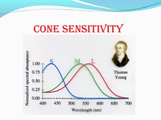 cOne sensitivity
 