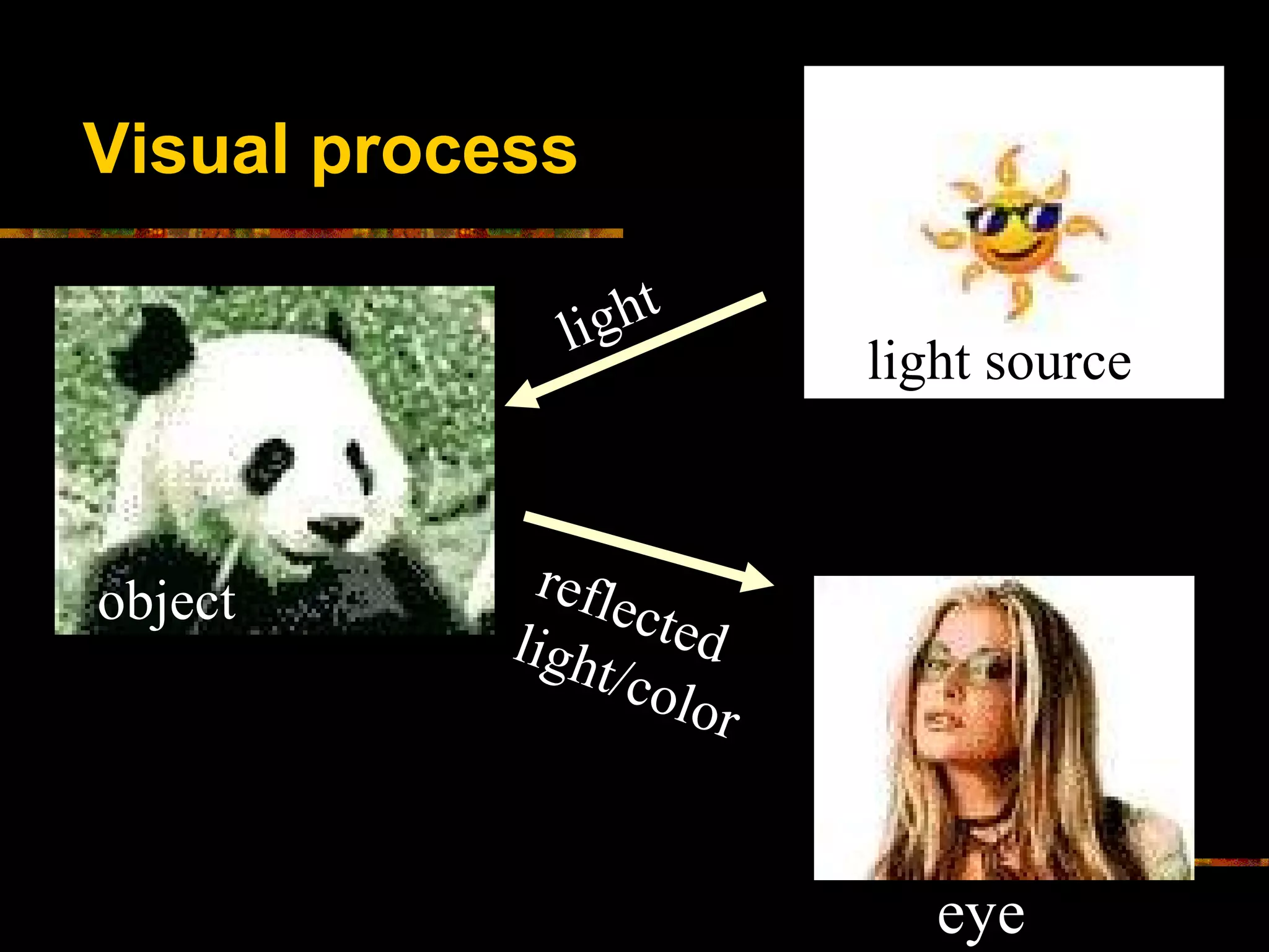 NW2005 Color vision | PPT